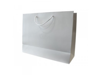 Бумажный подарочный пакет BMW Paper Bag, White, Size M от BMW Бумажный подарочный пакет BMW Paper Bag, White, Size M