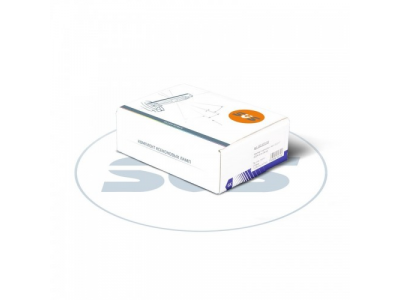 Комплект ксеноновых ламп SVS H4 6000K Silver Series